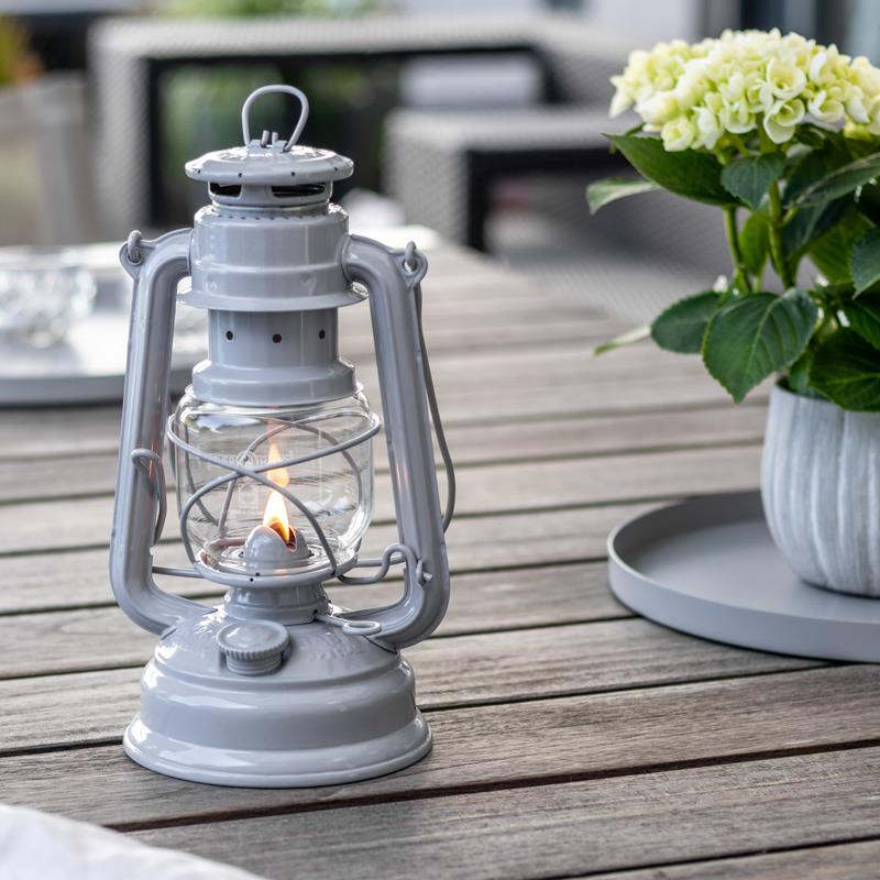 Lampe, Pflanze, Laterne