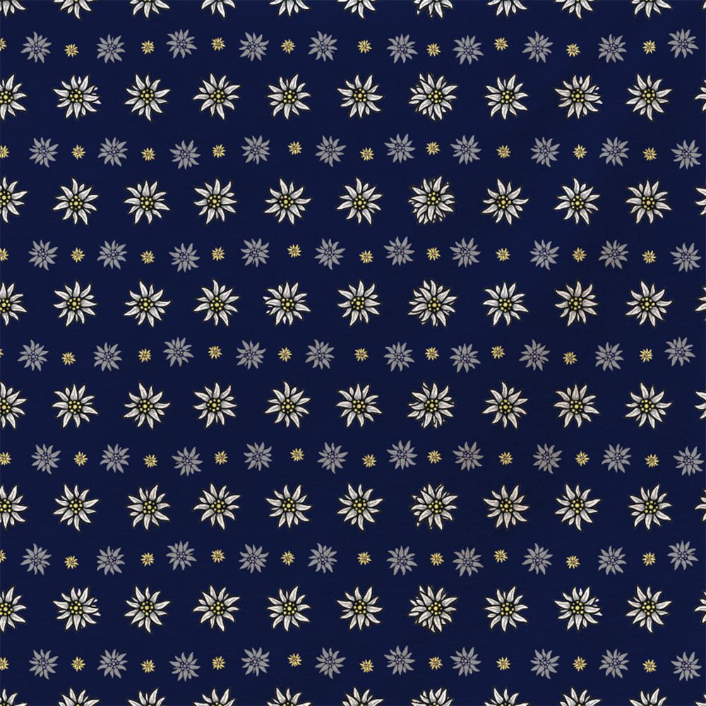 Muster