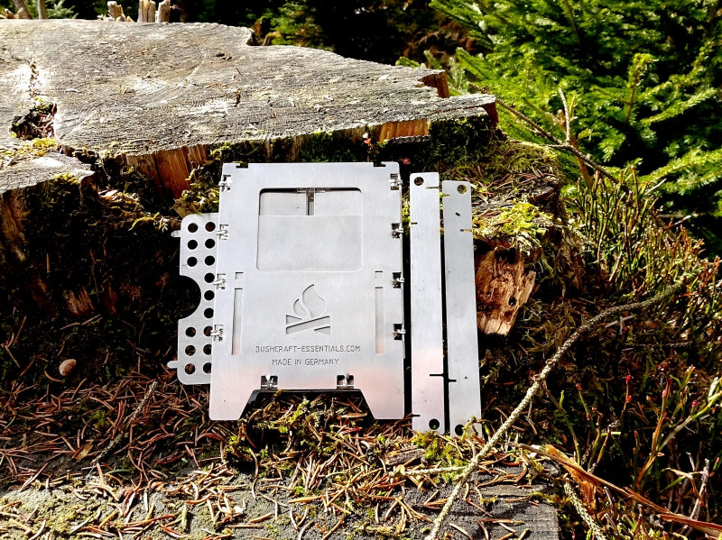 Pflanze, Baum