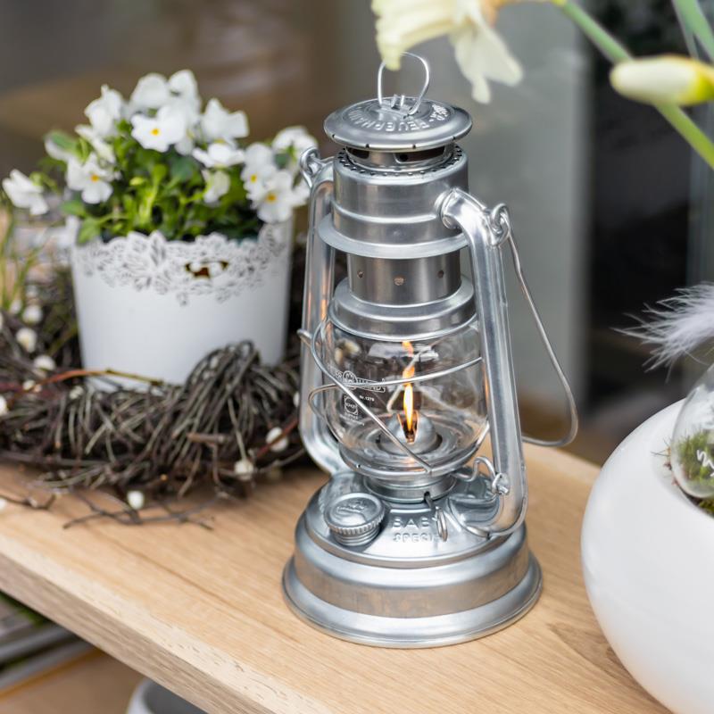 Lampe, Laterne, Pflanze