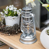 Lampe, Laterne, Pflanze