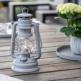 Lampe, Pflanze, Laterne