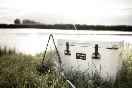 Gras, Kühler, Szenerie, Fischen, Wasser