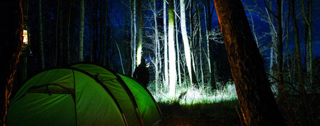 Multilampe M6xr (2000 Lumen)