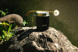 Rock, Pflanze, Tasse, Blume, Boden