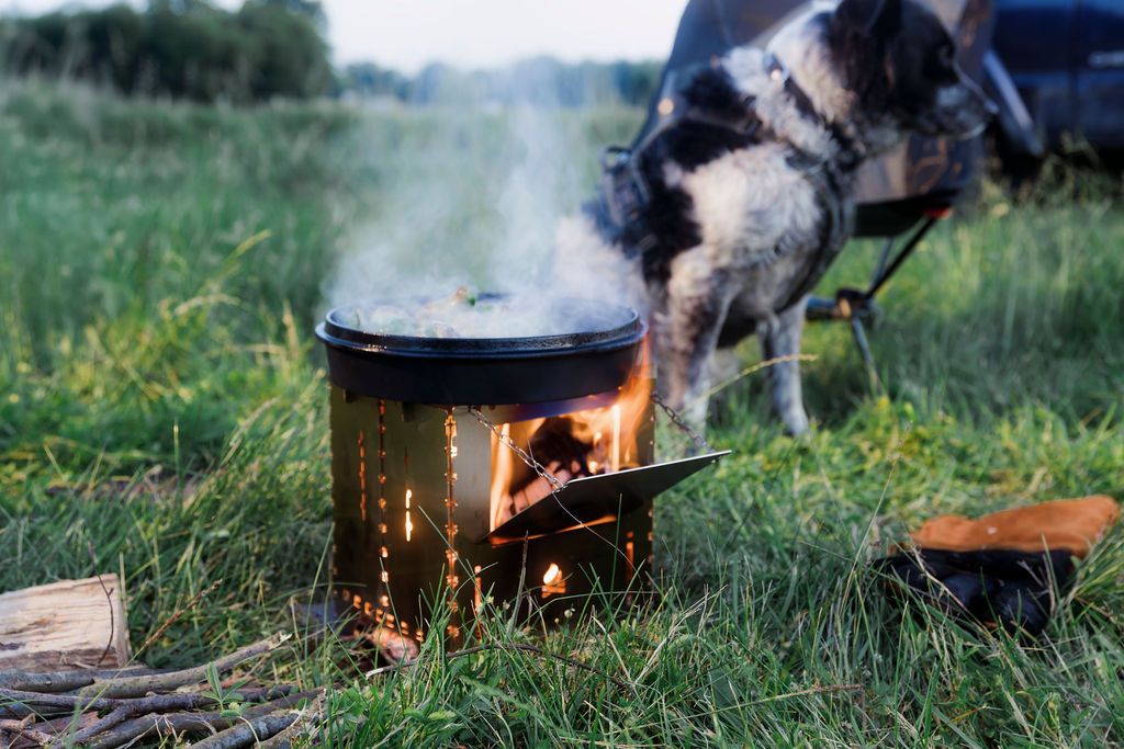 Grill, Feuerstelle, Outdoor, Grillkessel, Hund_besitzer