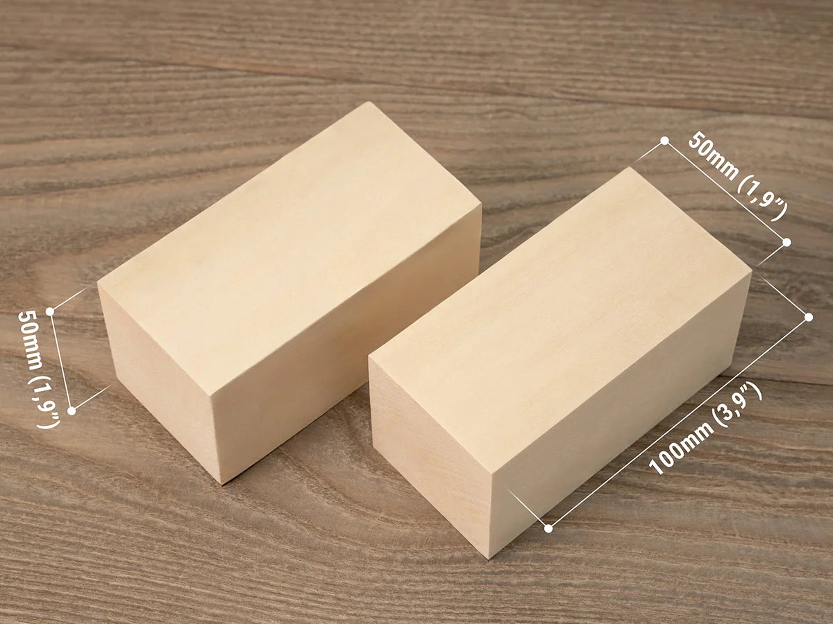 BeaverCraft - DIY09 Familien Spass Holzschnitzset