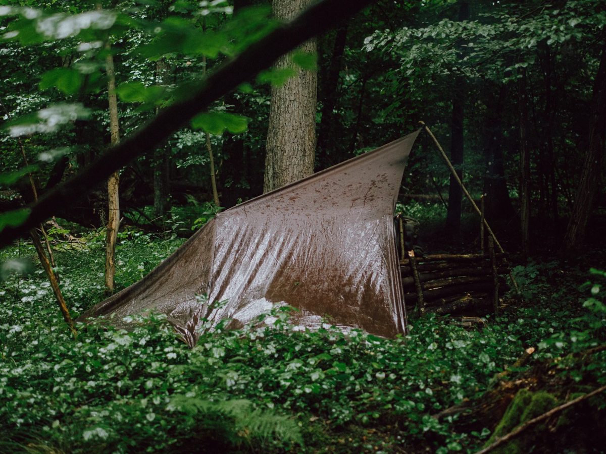 Tarpzelt, Trekkingzelt, Campingzelt, Outdoor, Wald