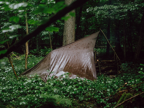 Tarpzelt, Trekkingzelt, Campingzelt, Outdoor, Wald