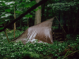 Tarpzelt, Trekkingzelt, Campingzelt, Outdoor, Wald